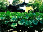 Những khu vườn cổ tại Thành phố Tô Châu (1)