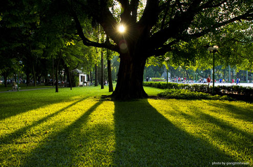 http://www.vnexpress.net/Files/Subject/3B/A2/1C/E0/chieu-cong-vien.jpg